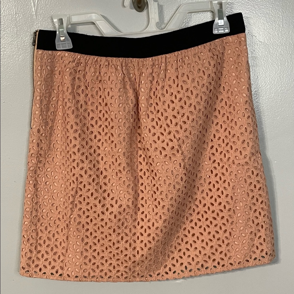 LOFT EMBROIDERED DUSTY PINK MINI SKIRT SIZE 6
